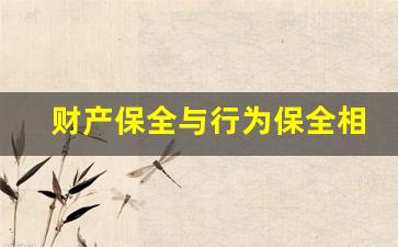 财产保全与行为保全相同点_最高人民法院 行为保全 规定